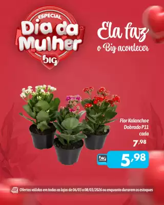 Catálogo Supermercados Big Compra (válido até 8-03)