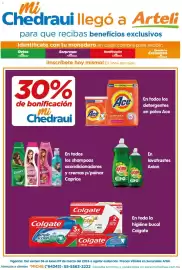 Folleto Arteli Página 1