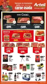 Folleto Arteli Página 1