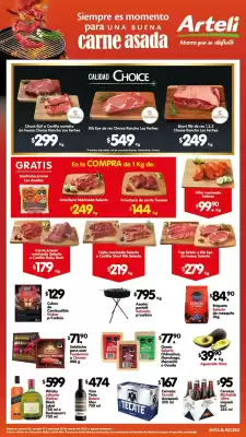 Folleto Arteli (válido hasta 9-03)