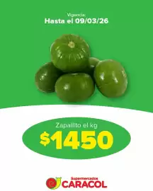 Catálogo Supermercados Caracol Página 2