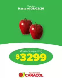 Catálogo Supermercados Caracol Página 3