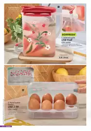 Catálogo Azzorti Página 64