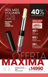 Folleto Gigot Página 61