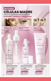 Folleto Gigot Página 62