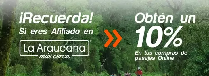 Catálogo Pullman Bus Página 1