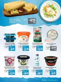 Encarte Festval Página 11