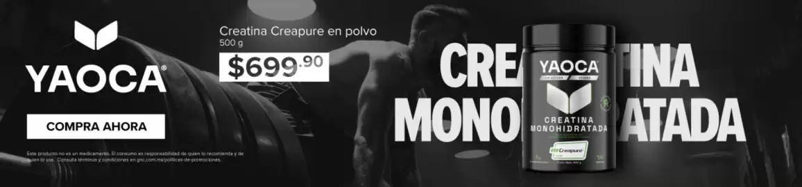 Catálogo GNC Página 4