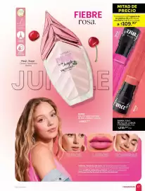 Catálogo Zermat Página 66