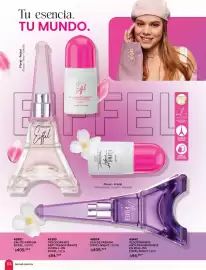 Catálogo Zermat Página 67