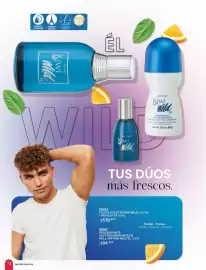 Catálogo Zermat Página 71