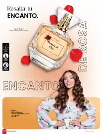 Catálogo Zermat Página 85