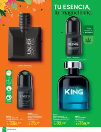 Catálogo Zermat Página 93