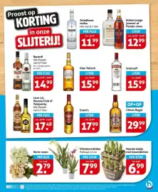 Hoogvliet folder week 11 Pagina 21