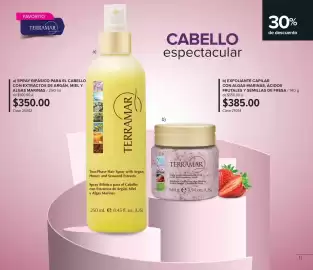 Catálogo Terramar Brands Página 11