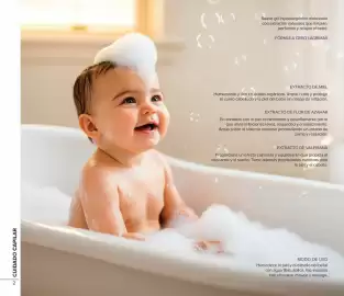 Catálogo Terramar Brands Página 2