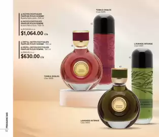 Catálogo Terramar Brands Página 32