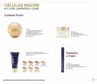 Catálogo Terramar Brands Página 35