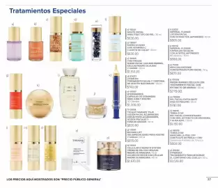 Catálogo Terramar Brands Página 37