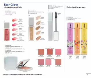 Catálogo Terramar Brands Página 41