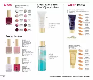 Catálogo Terramar Brands Página 46