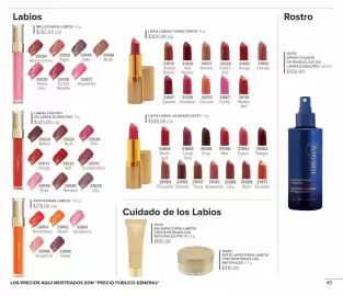 Catálogo Terramar Brands Página 49