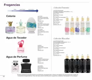 Catálogo Terramar Brands Página 50