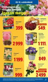 Lidl akciós újság hét 11 Oldal 29