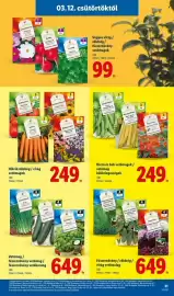 Lidl akciós újság hét 11 Oldal 31