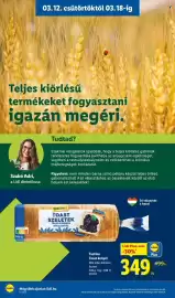Lidl akciós újság hét 11 Oldal 32
