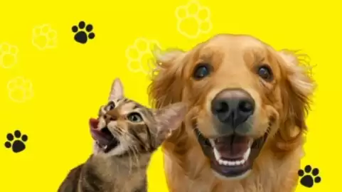 Media Expert gazetka Strona 491