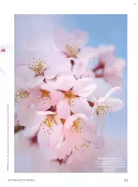 Dm drogerie leták Strana 33