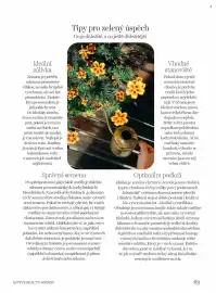 Dm drogerie leták Strana 63