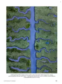 Dm drogerie leták Strana 87