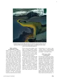 Dm drogerie leták Strana 89