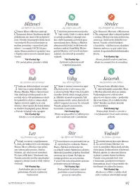 Dm drogerie leták Strana 97