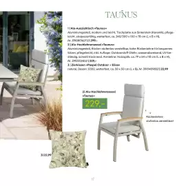 Pflanzen Kölle Prospekt Seite 17