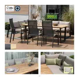 Pflanzen Kölle Prospekt Seite 27