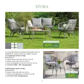 Pflanzen Kölle Prospekt Seite 34