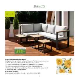 Pflanzen Kölle Prospekt Seite 35