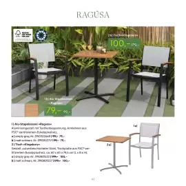 Pflanzen Kölle Prospekt Seite 40