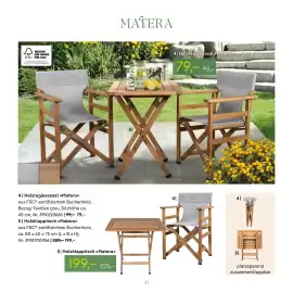 Pflanzen Kölle Prospekt Seite 41