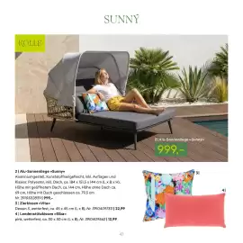 Pflanzen Kölle Prospekt Seite 43