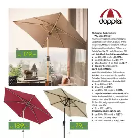 Pflanzen Kölle Prospekt Seite 58