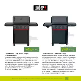 Pflanzen Kölle Prospekt Seite 62