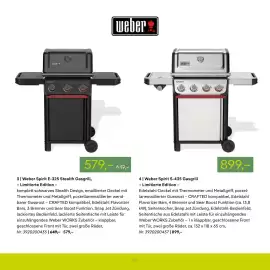 Pflanzen Kölle Prospekt Seite 63