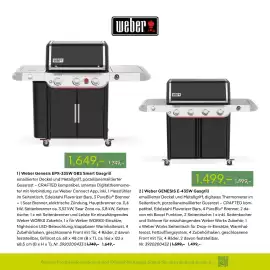 Pflanzen Kölle Prospekt Seite 64