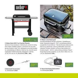 Pflanzen Kölle Prospekt Seite 65