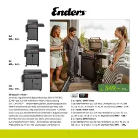 Pflanzen Kölle Prospekt Seite 67