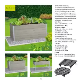 Pflanzen Kölle Prospekt Seite 74